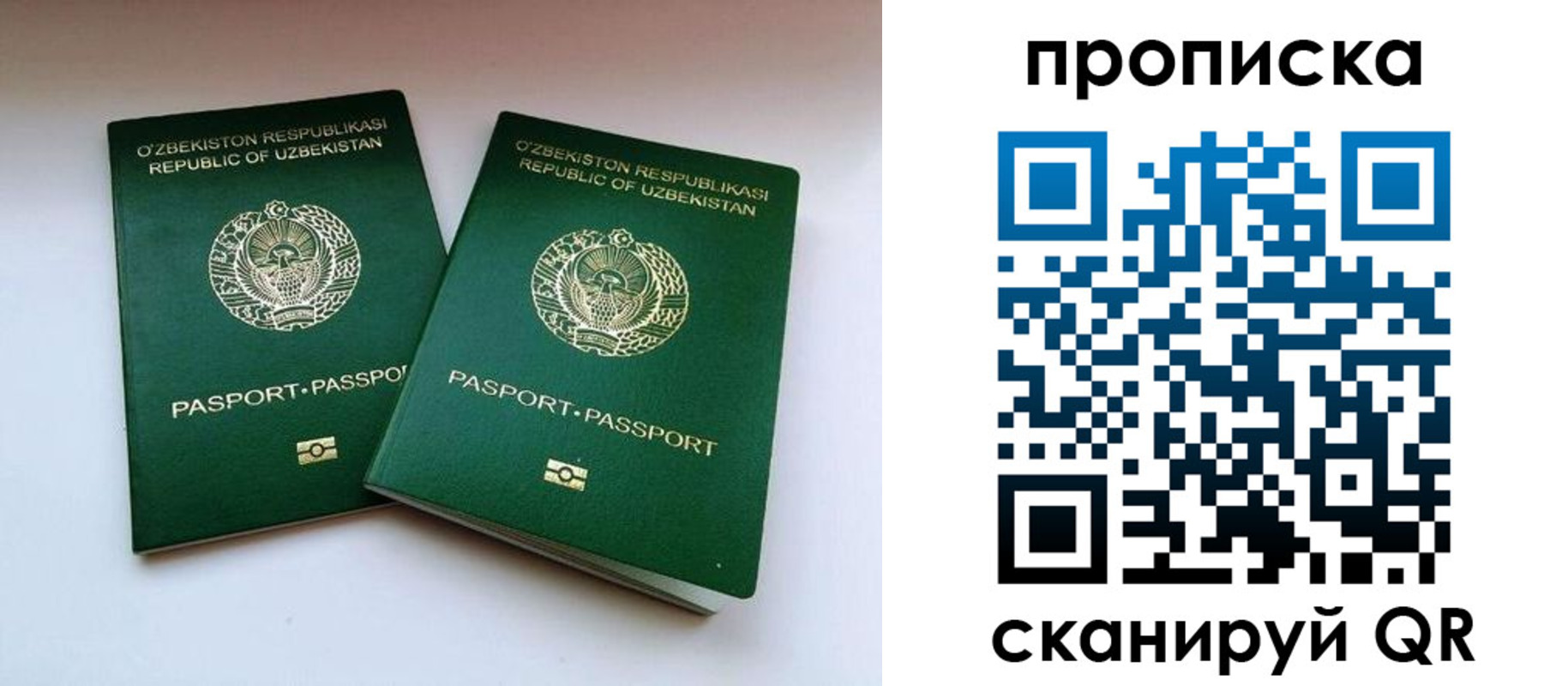 прописка поиск в Кушве
